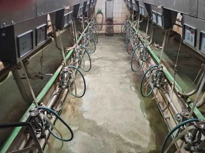 Westfalia Melkstand 2 x 6