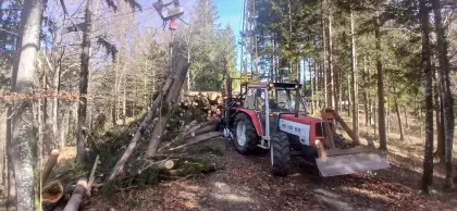 Seilkran mit Koller SK1 und Nokka Dreipunktkran