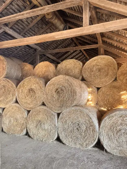 Verkaufe Heuballen günstig