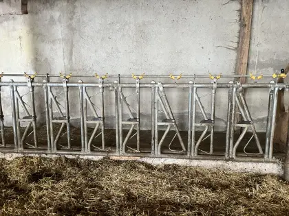 Selbstfangfressgitter Jungvieh, Neuwertig