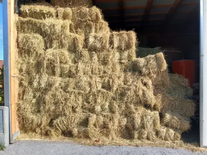 Kleine Heuballen