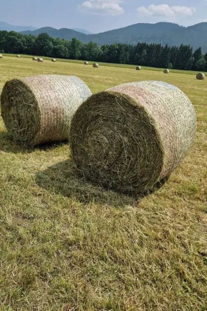 Heuballen