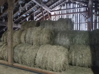 Heu Ballen