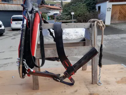 Kaltblut Pferde Geschirr