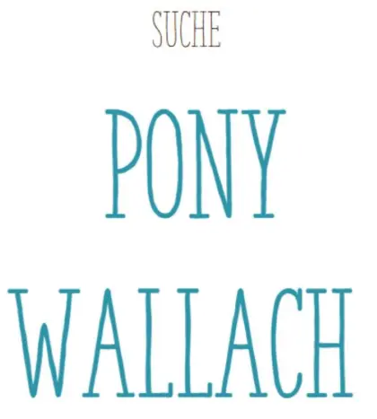 Suche Pony Wallach
