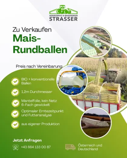 Maisballen zu verkaufen