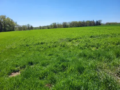 Bio Acker 1 ha (Bezirk Horn 3580)