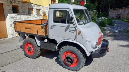 Unimog 401-411 Westfalia Froschauge 1366