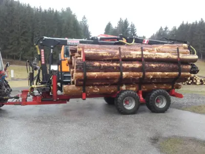 Berger Rückewagen, Kranwagen