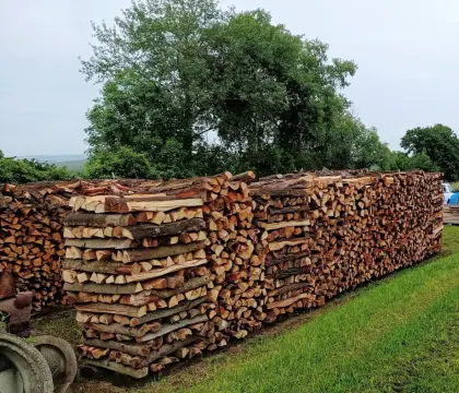 Brennholz Eiche, Kastanie, Akazie, Buche, Kiefer, Fichte