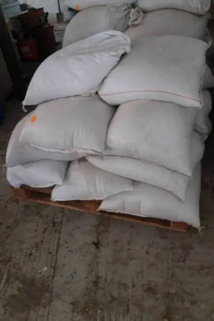 Futtergerste Top-Qualität