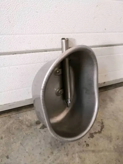 Schalentränker für Schweine