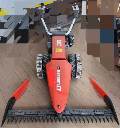 Motormäher Reform 216