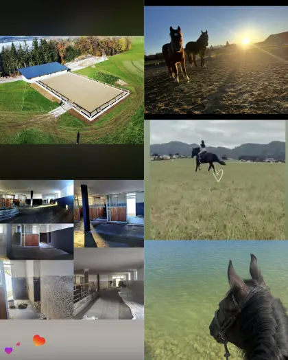 Box frei am 1. März