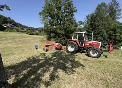 Heuballen klein (Quader) 2025, 1. Schnitt Pferdeheu