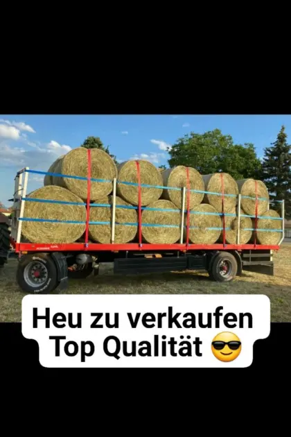 Heu in Rundballen Ernte 2025