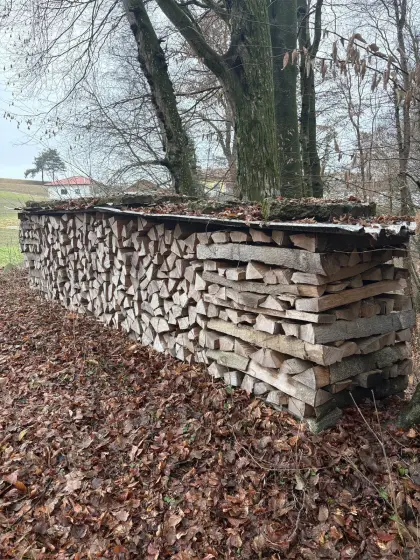 Buchenbrennholz 2 Jahre