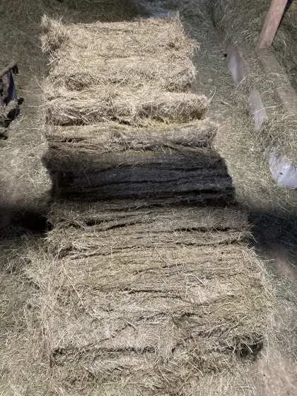 Heu 1. Schnitt zu verkaufen