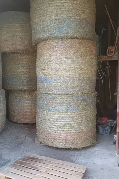 Bio Heu zu verkaufen