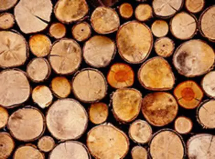 Suche Brennholzplatz