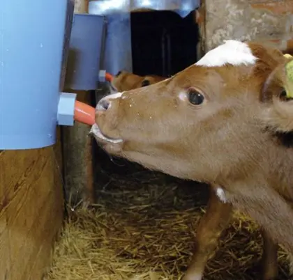 BIO Vollmilchaufwerter