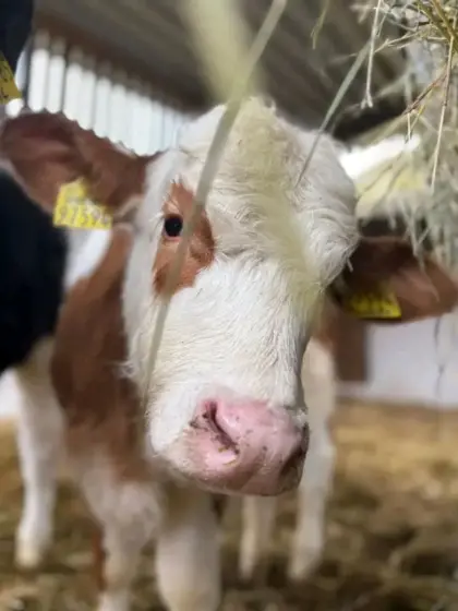 Motivierter junger Mann sucht saisonale Arbeit
