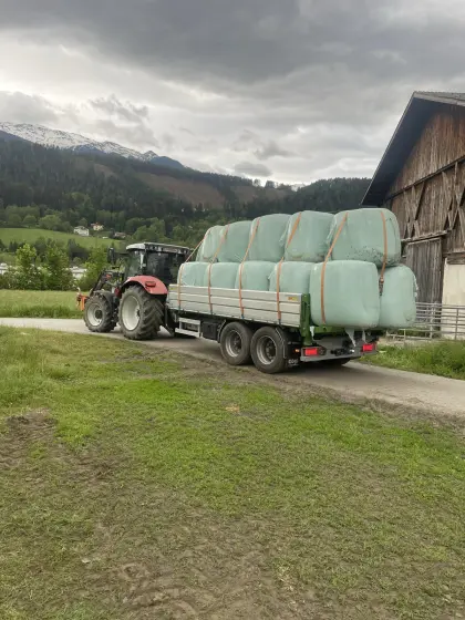 Maisballen Ernte 2025