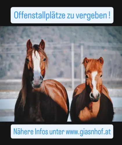 Einstellplätze für Pferde
