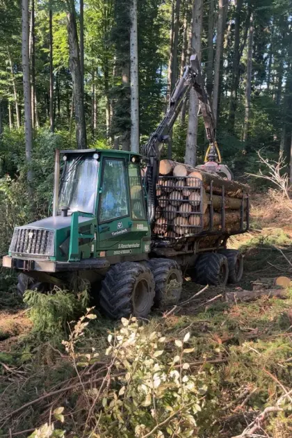Timberjack 810B Forwarder / Rückezug