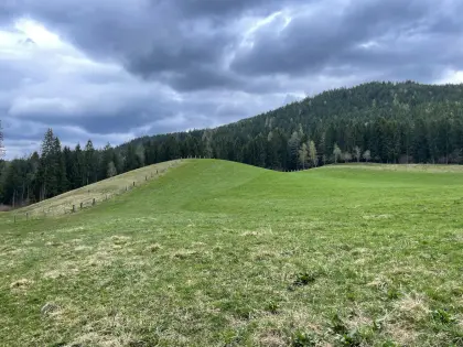 Suche Almwiese, Mähwiese, Weide