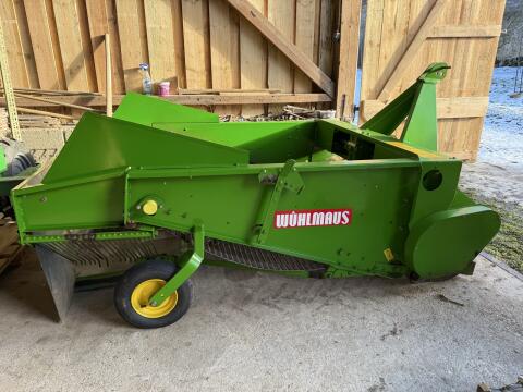 Wühlmaus Zwiebelschwadleger