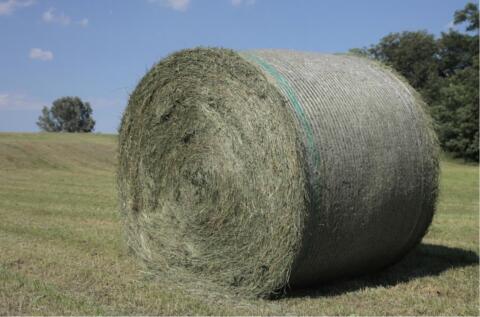 Grummet Heuballen