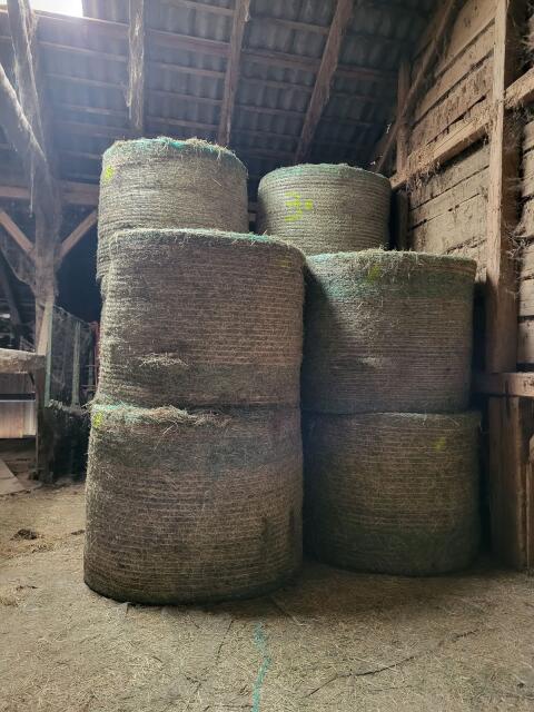 Heuballen zu verkaufen