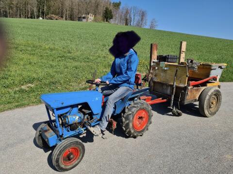 Gutbrot Superior Type 1030 Kleingarten Traktor Oldtimer