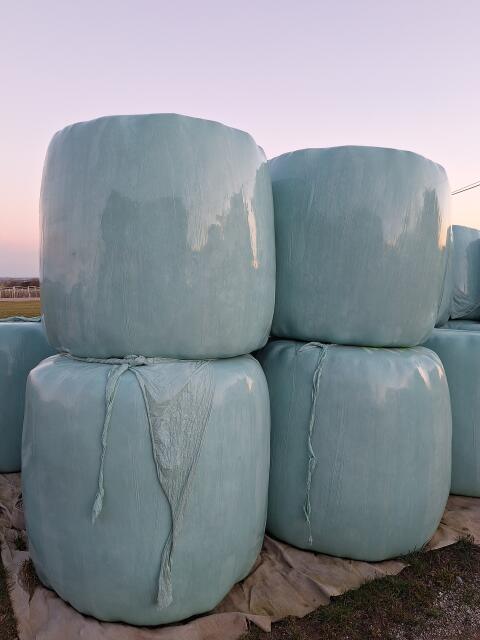 Siloballen 2. Schnitt