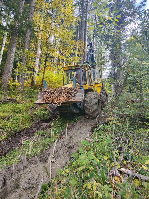 Forstschlepper HSM 904