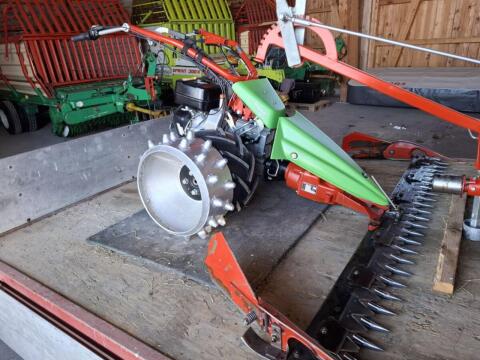 Rapid Swiss - Motormäher