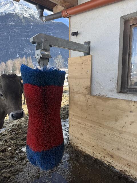Happycow Viehbürste