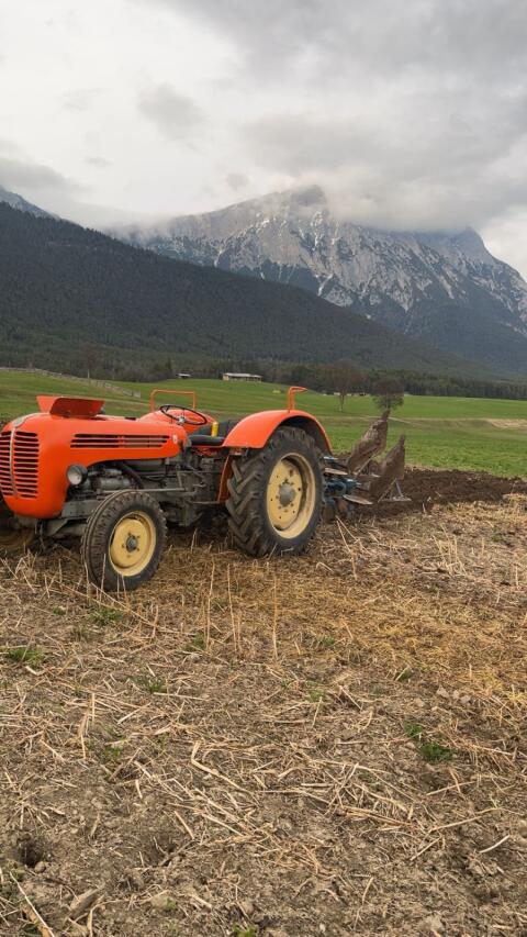 Pflug Vogel und Noot