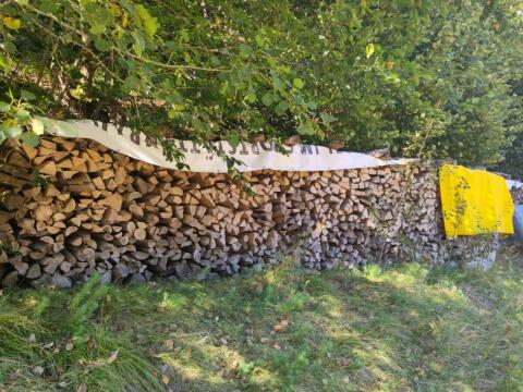 Brennholz Buche, luftgetrocknet und gespalten