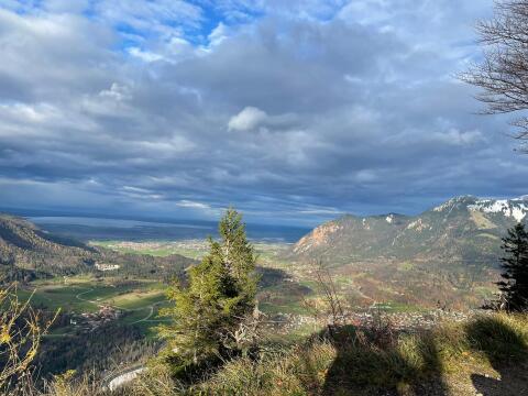 Suche Wald, Moor, Moorwald, Bergwald, Moorfläche