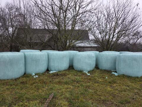 30 Stk. Grassilageballen