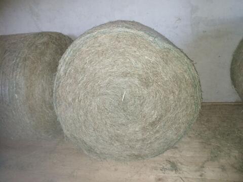 Grummetballen