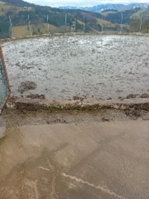 Verkaufe Rindergülle