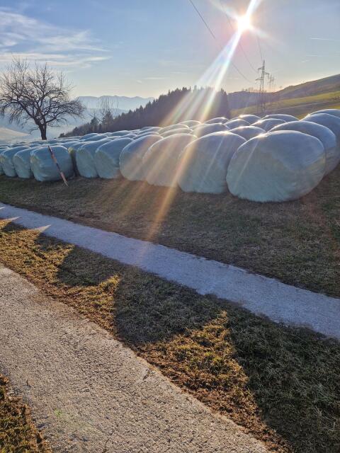 Siloballen
