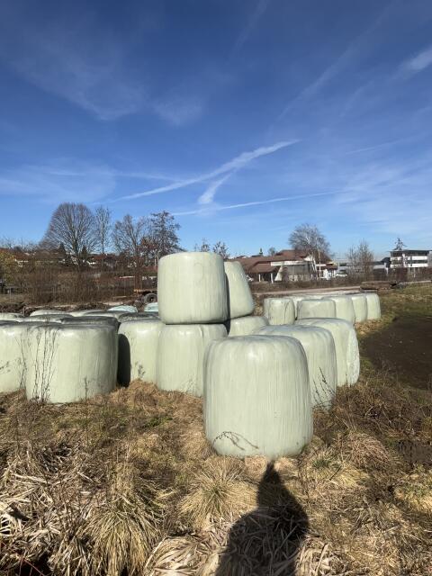 Siloballen aus 2024