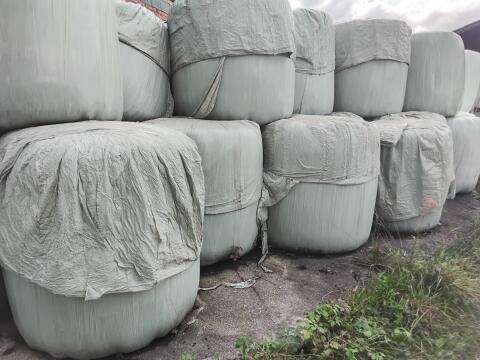 Silageballen, Ernte 2024, Heuballen, Ernte 2025