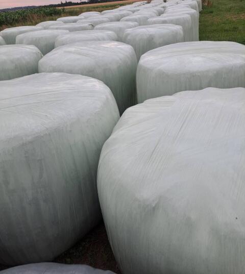 Silageballen, Siloballen, Grassilage