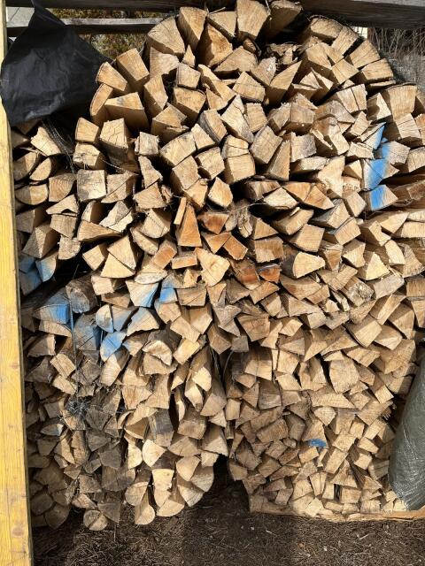 Brennholz Buche und Fichte