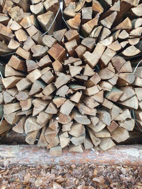Brennholz